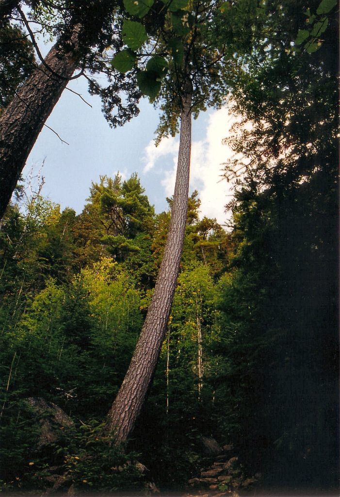 04 - Saguenay (26).jpg